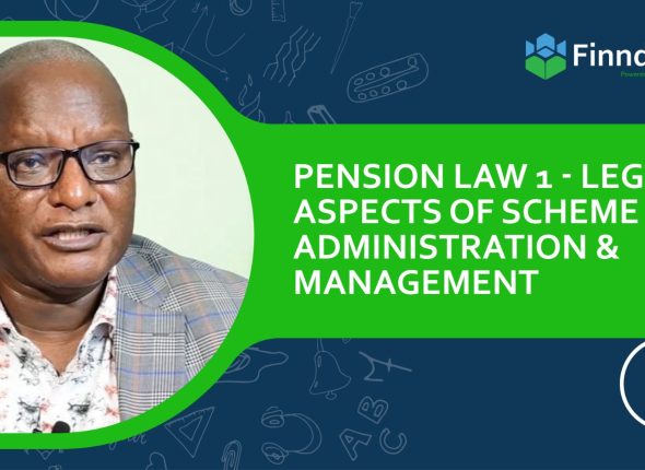 WhatsApp Image 2025-09-30 at 09.36.20 (7)